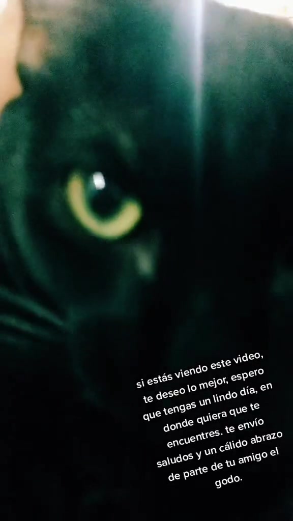 @petuchis