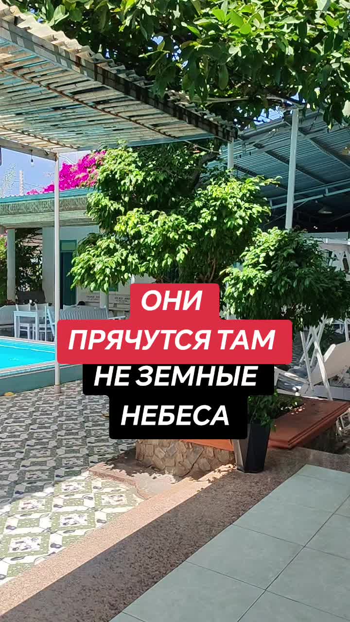 @живу не зря