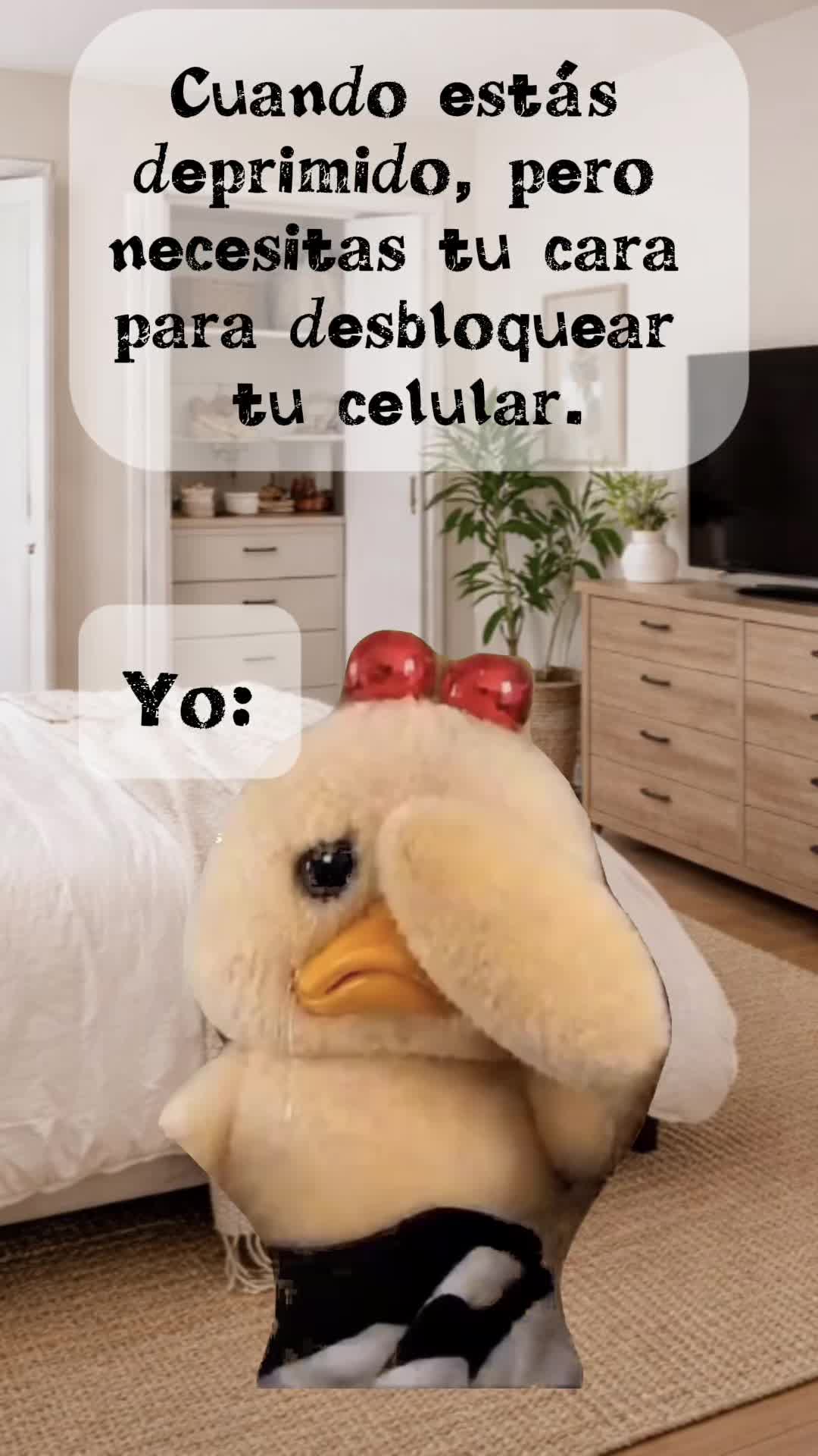 @🌺Araceli