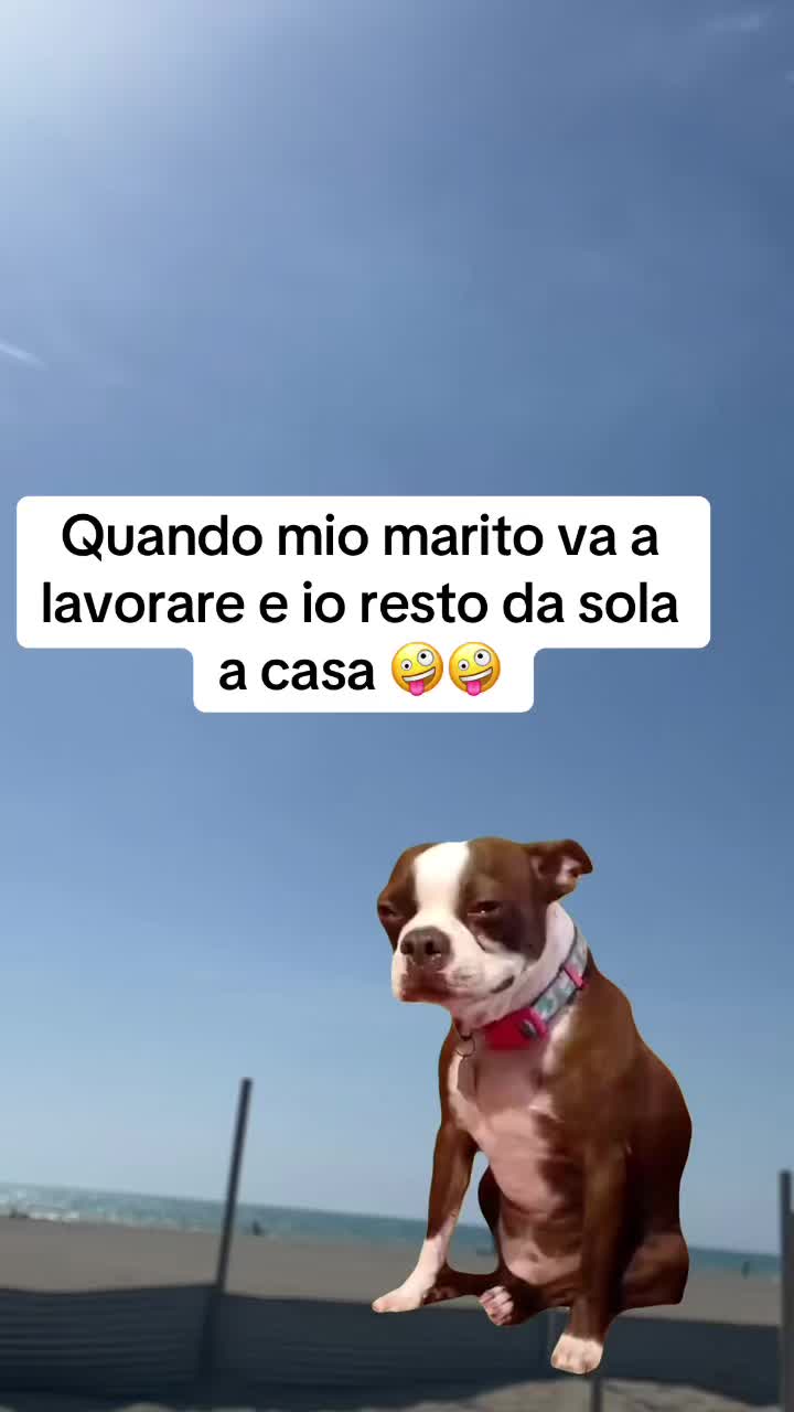 @LOLSempre😜😜