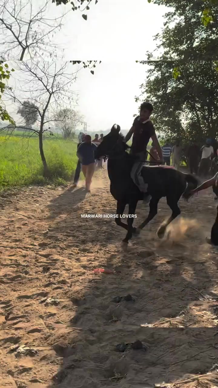 @🚩 راوی الہ 🚩