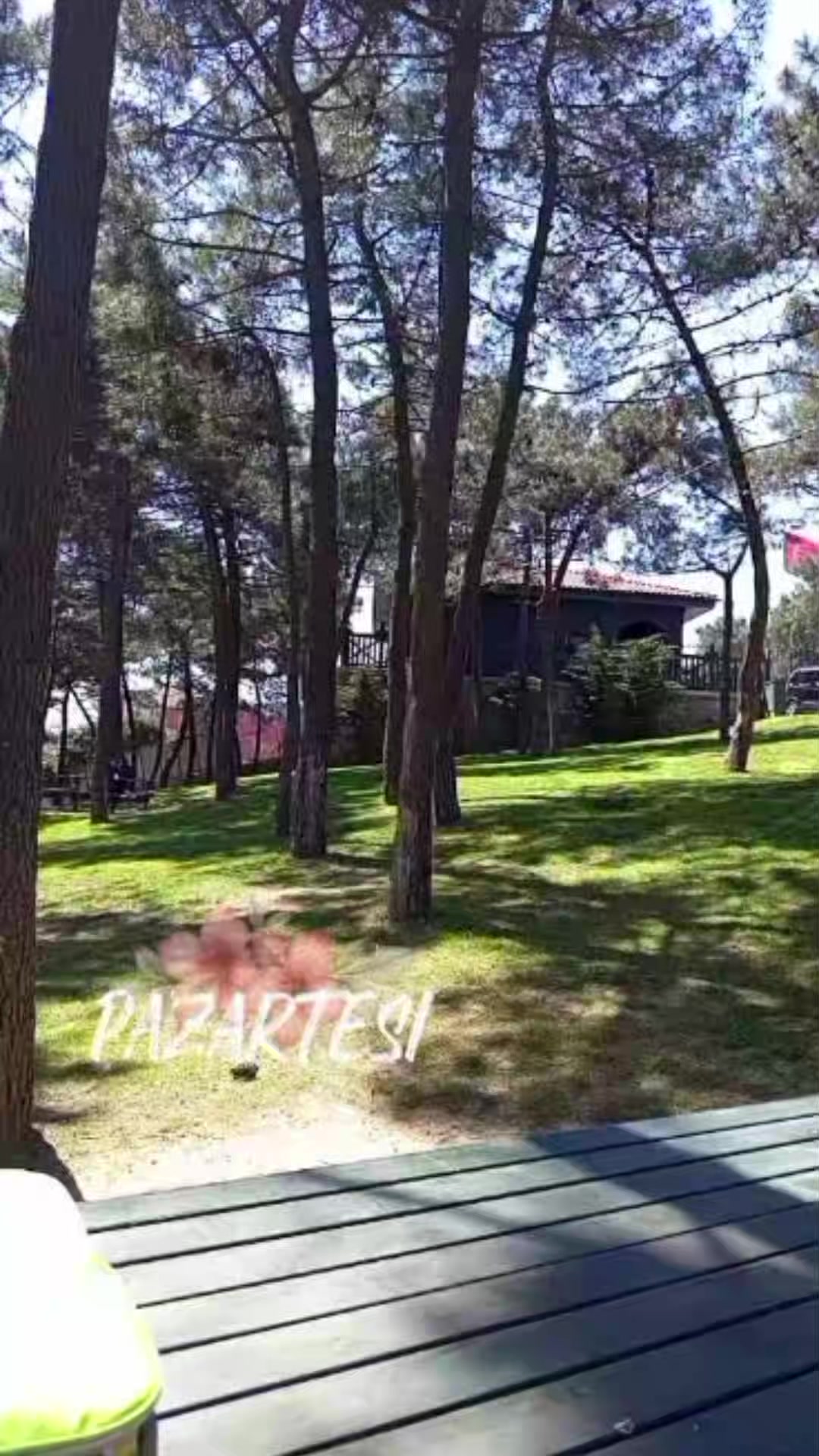 @Seher başdaş