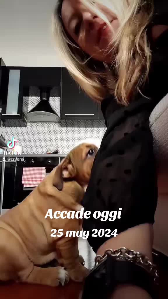 @Cri🐾M❤️rghy🐾labulla❤️