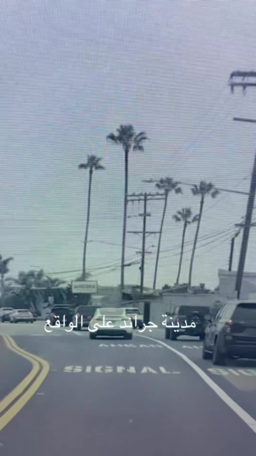 @سيرفر LIEF CITE