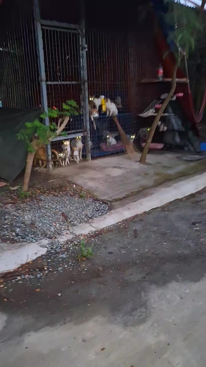 @mylharescues
