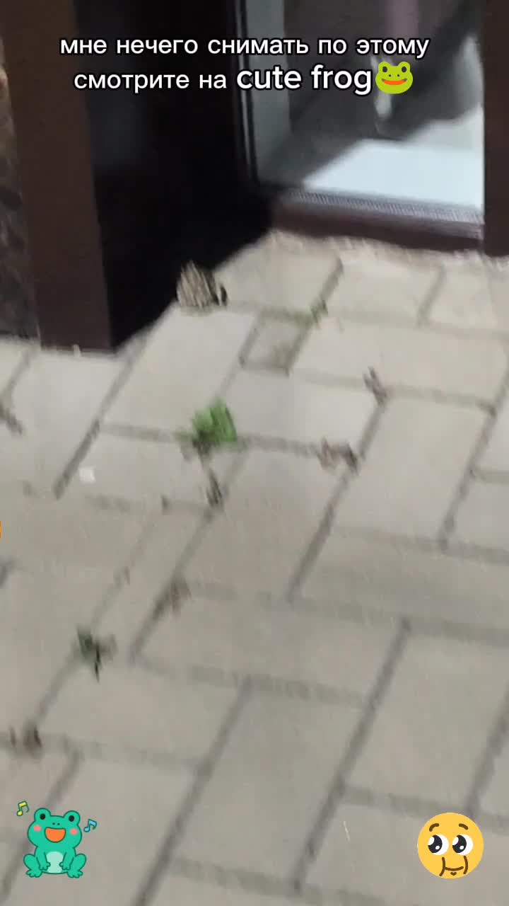 @Сергей тапок