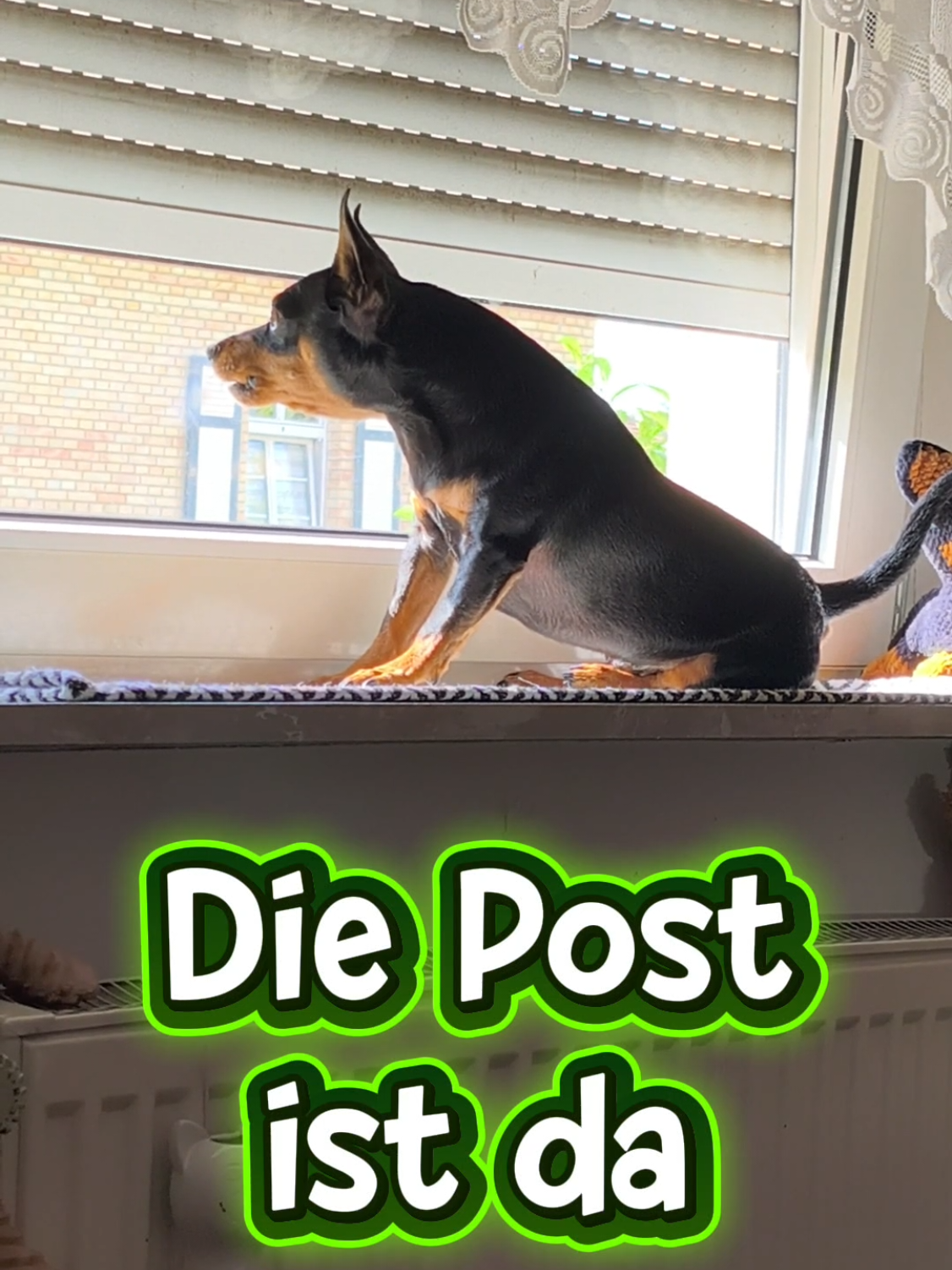 @ICH BIN'S