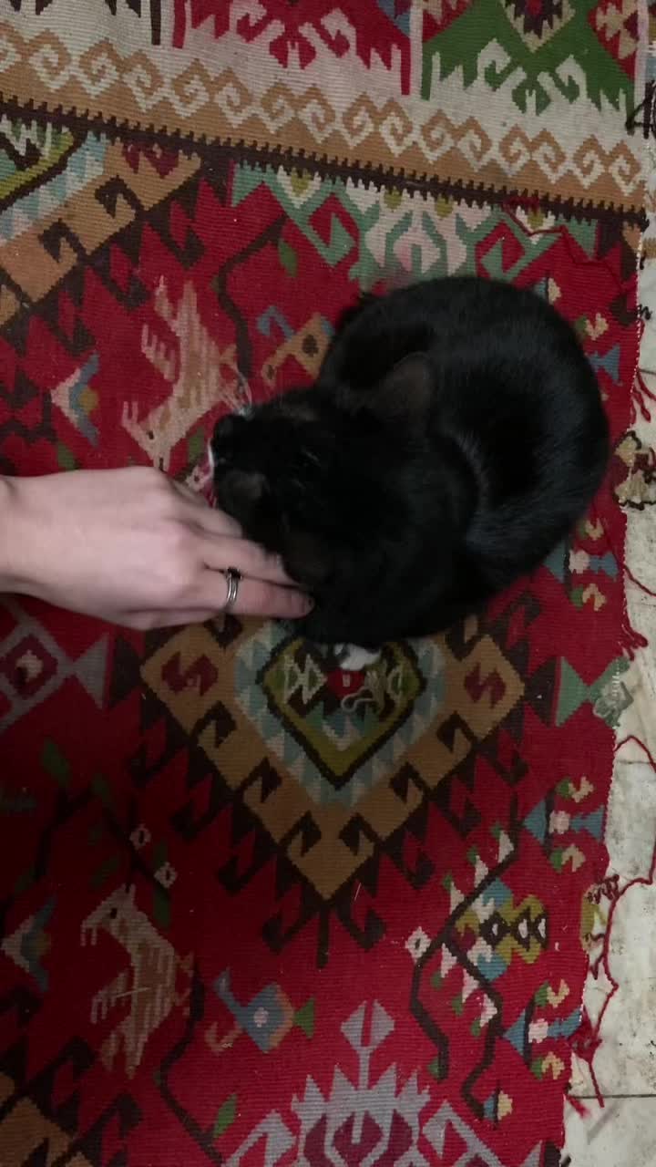 @настя