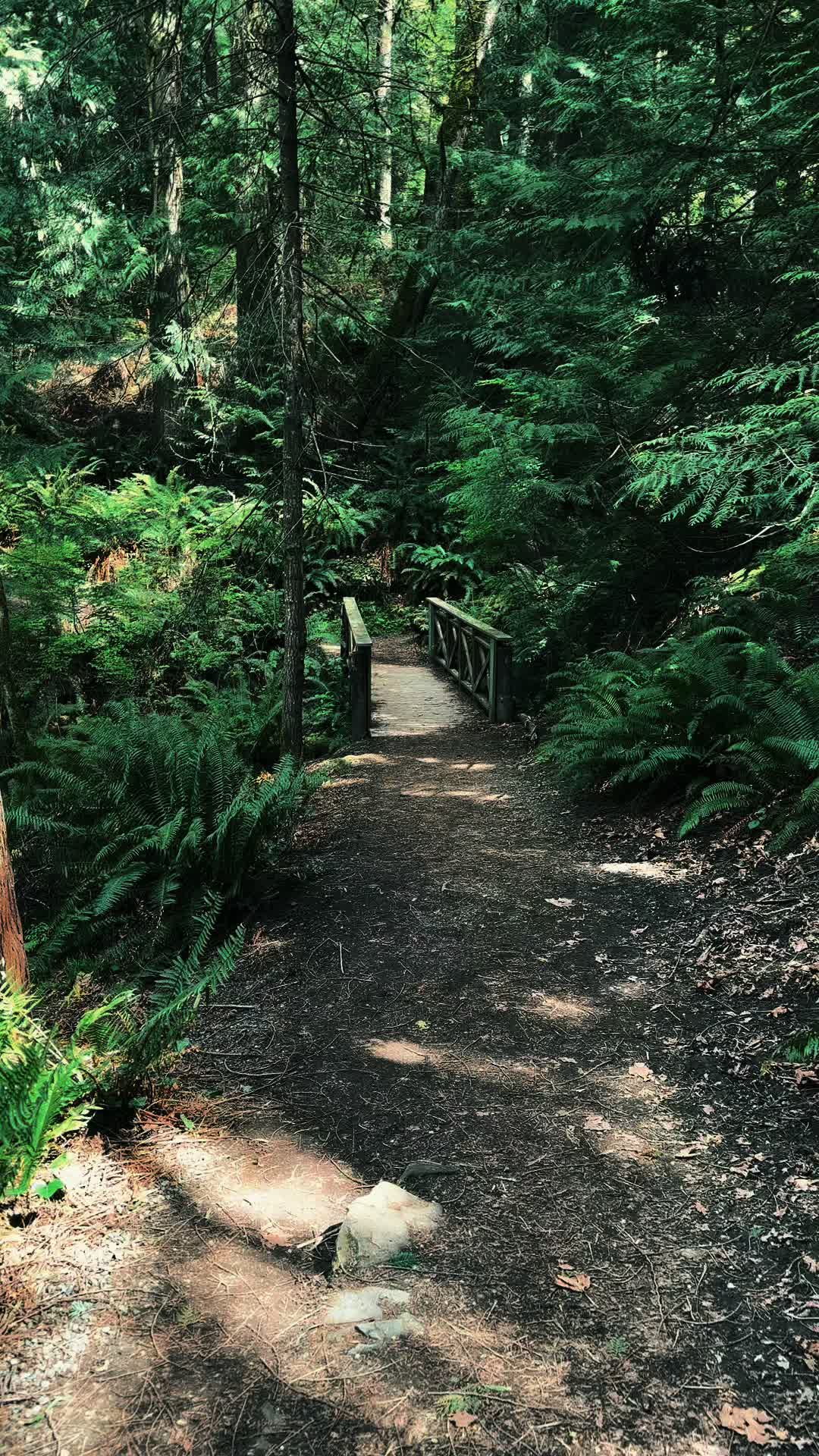 @🌲 James | WA 🏔️