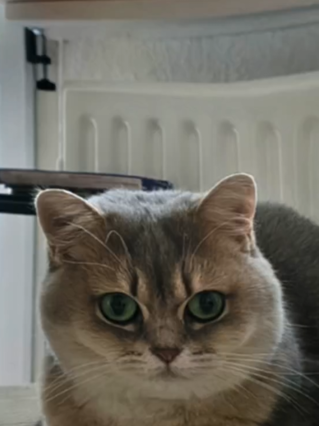 @Nala