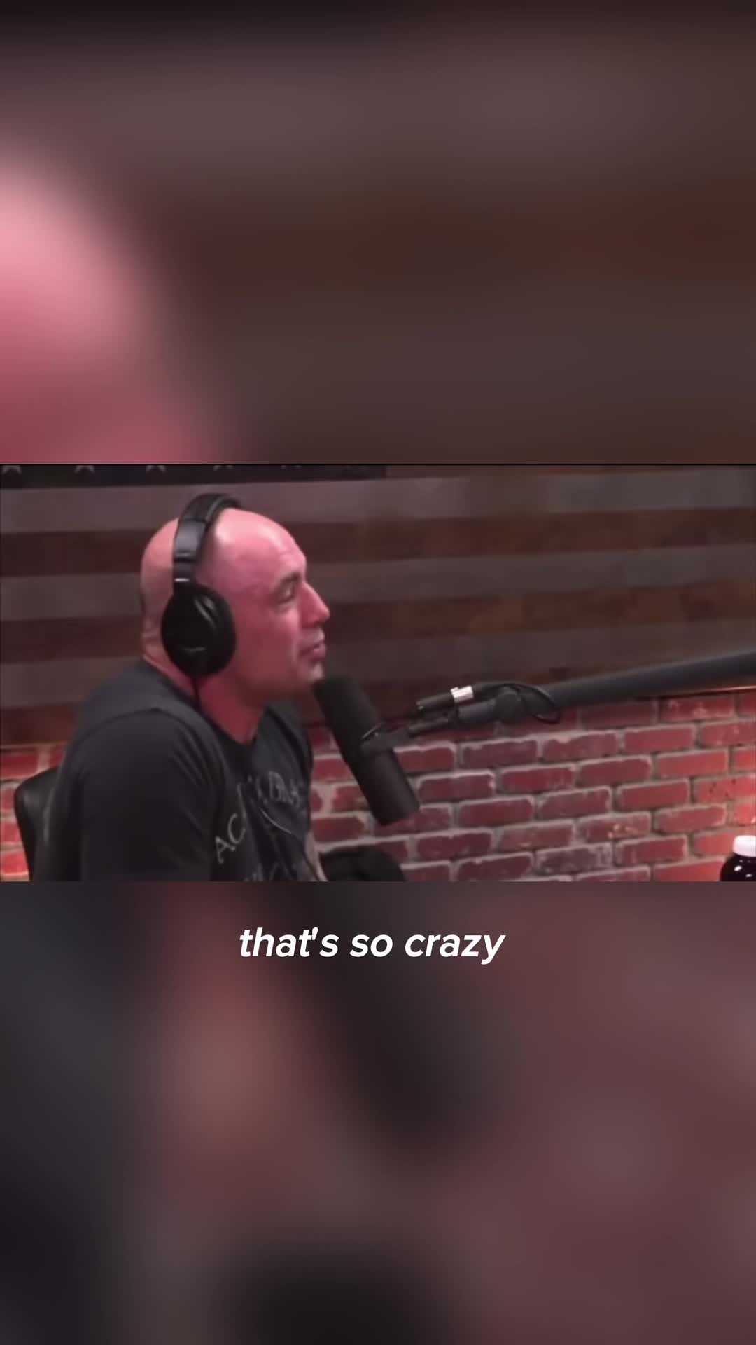 @Experience_JoeRogan