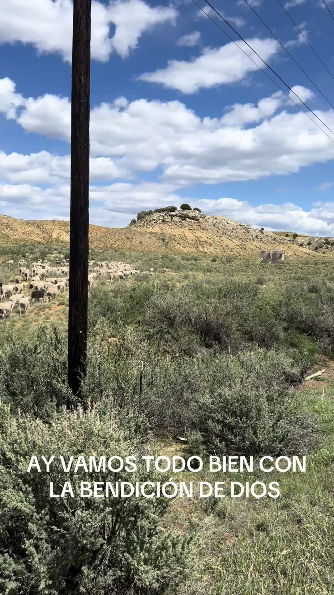 @papuchito 👨🌾🫏