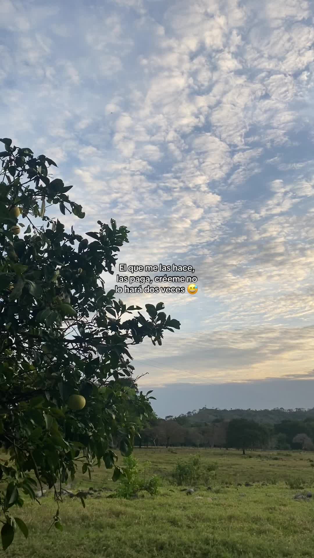 @𝓒𝓪𝓶𝓲𝓵𝓪ひ🎀