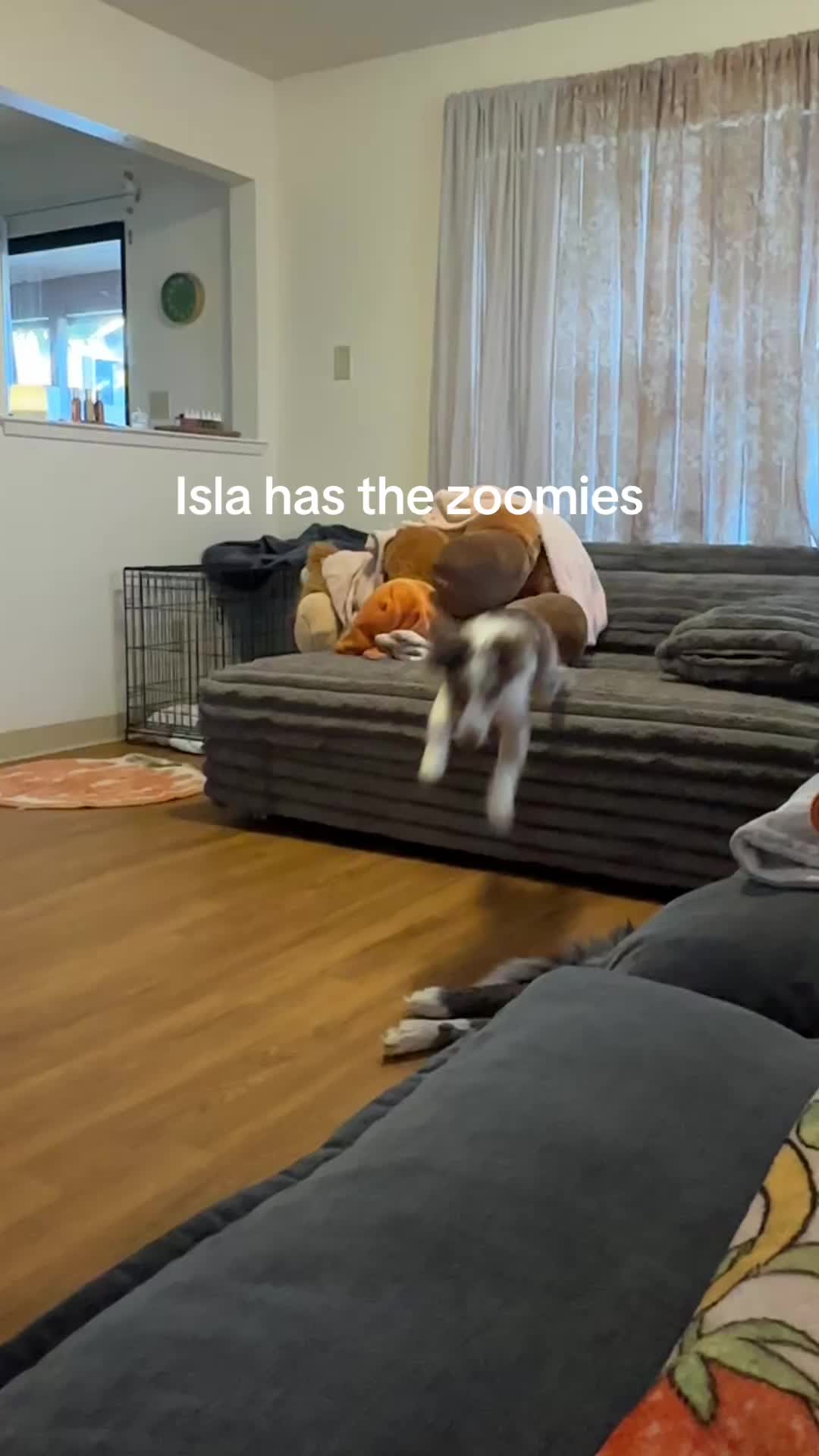 @Isla the Aussie