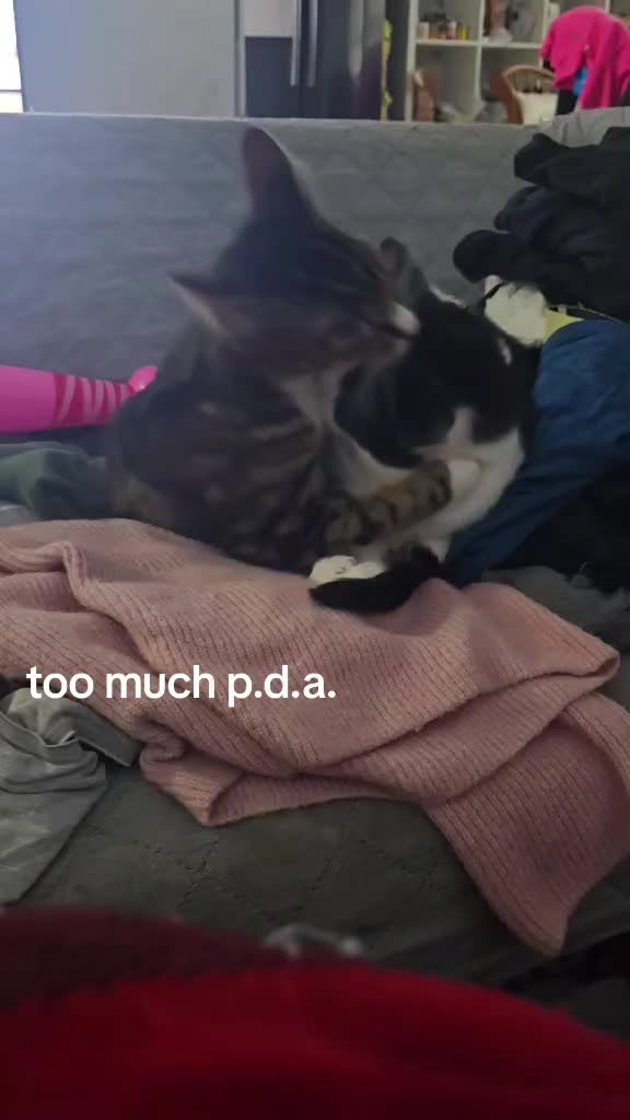 @Dxpz