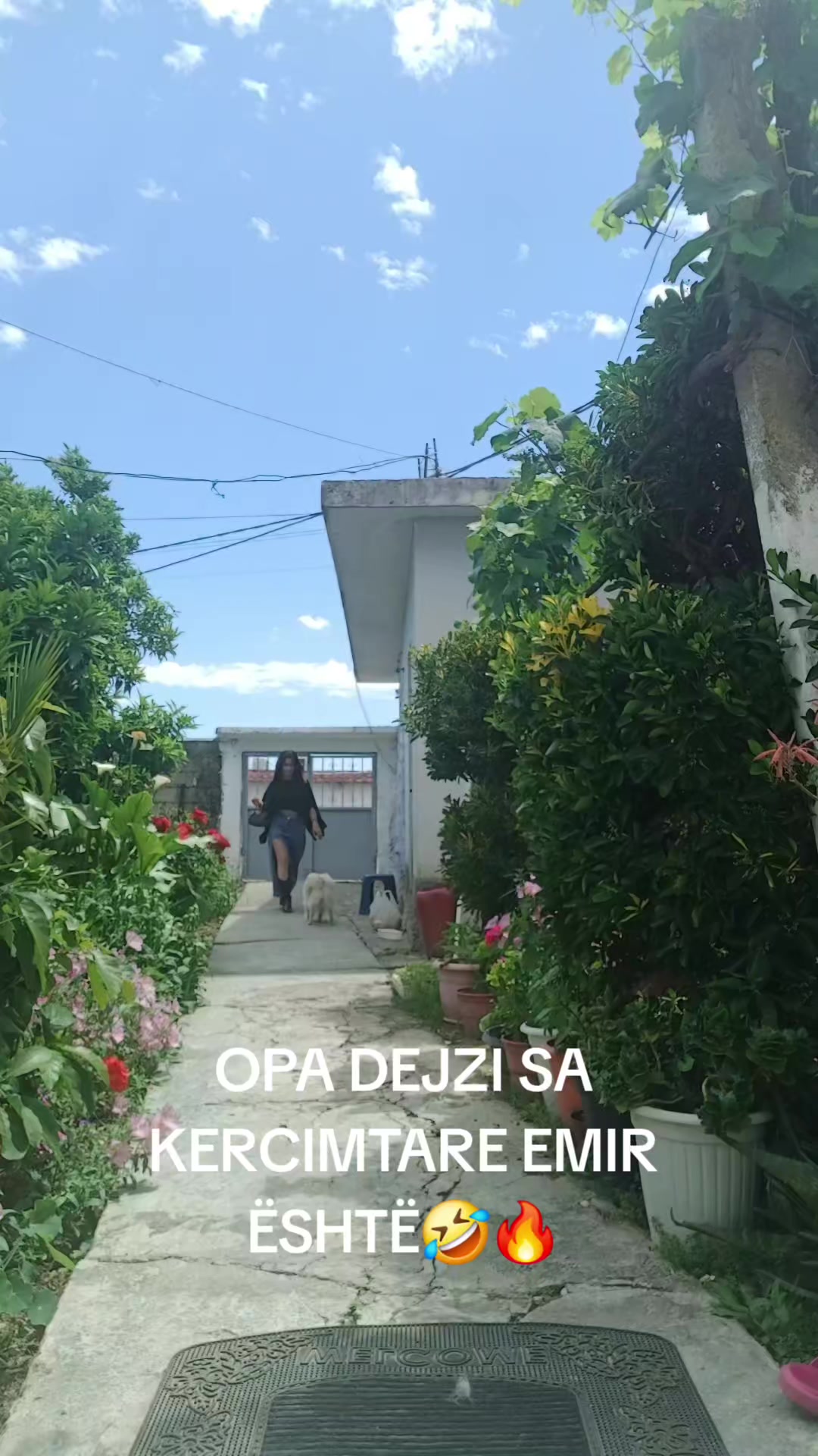 @dea hajdari🇦🇱🦅