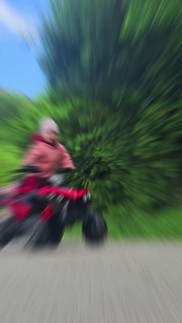 @Bulldo