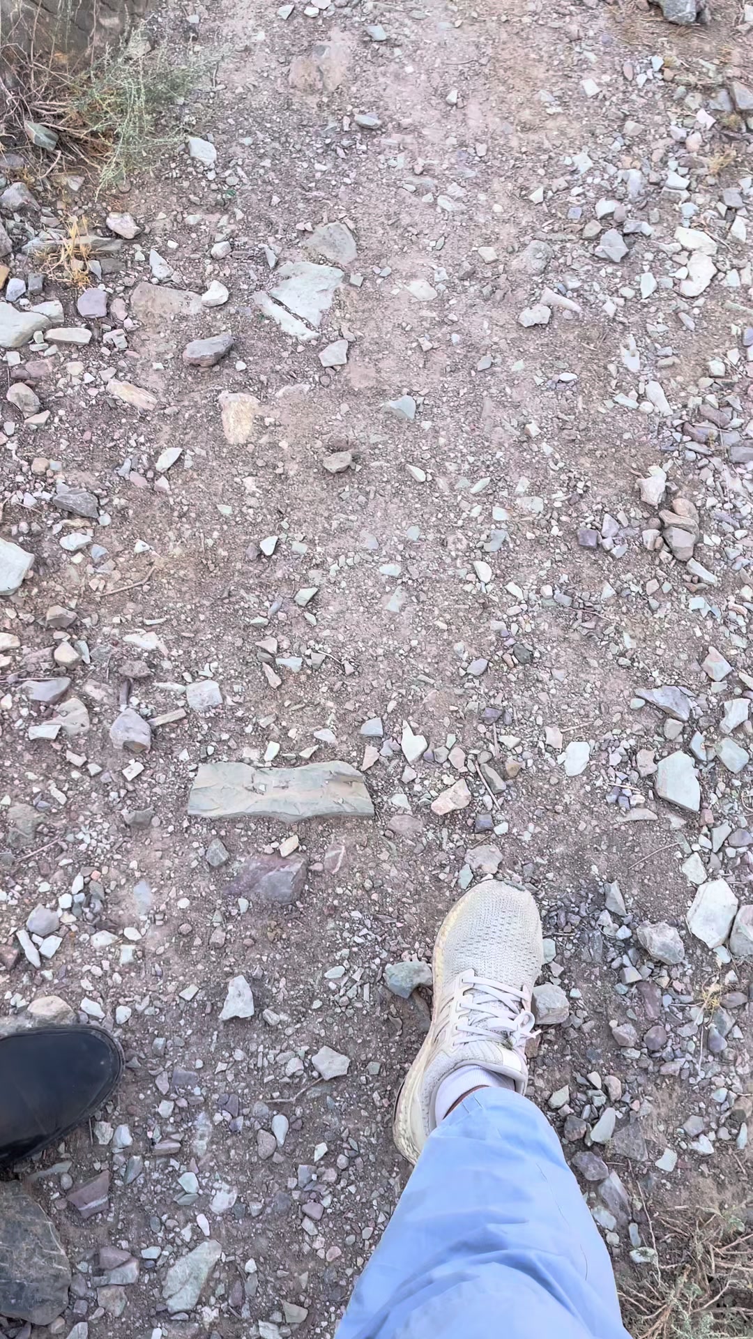 @🌋SHAHZAIB🗿🧐