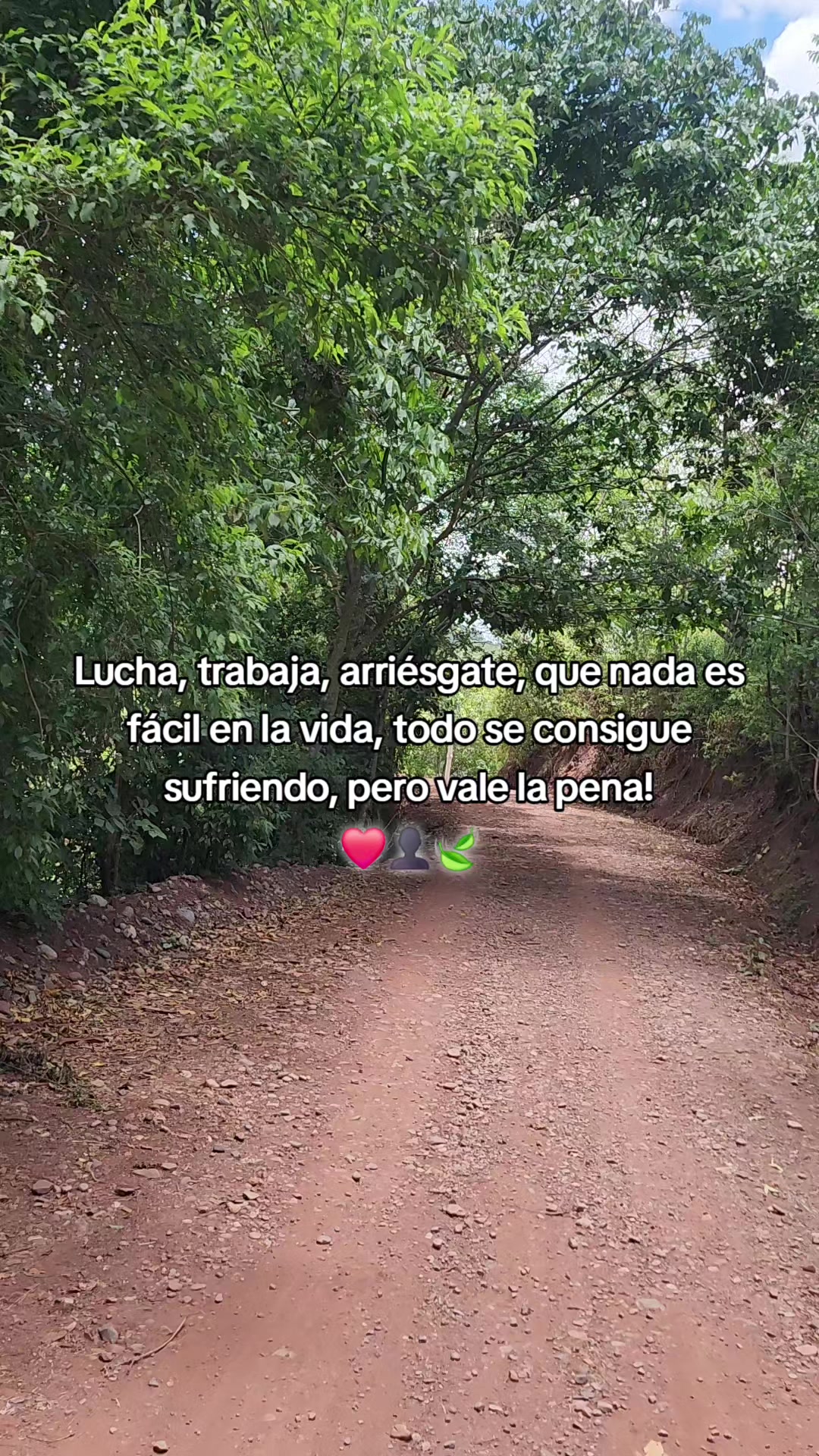 @siltepec sv