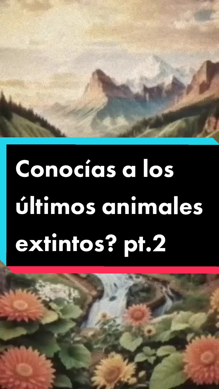 @RoanNews