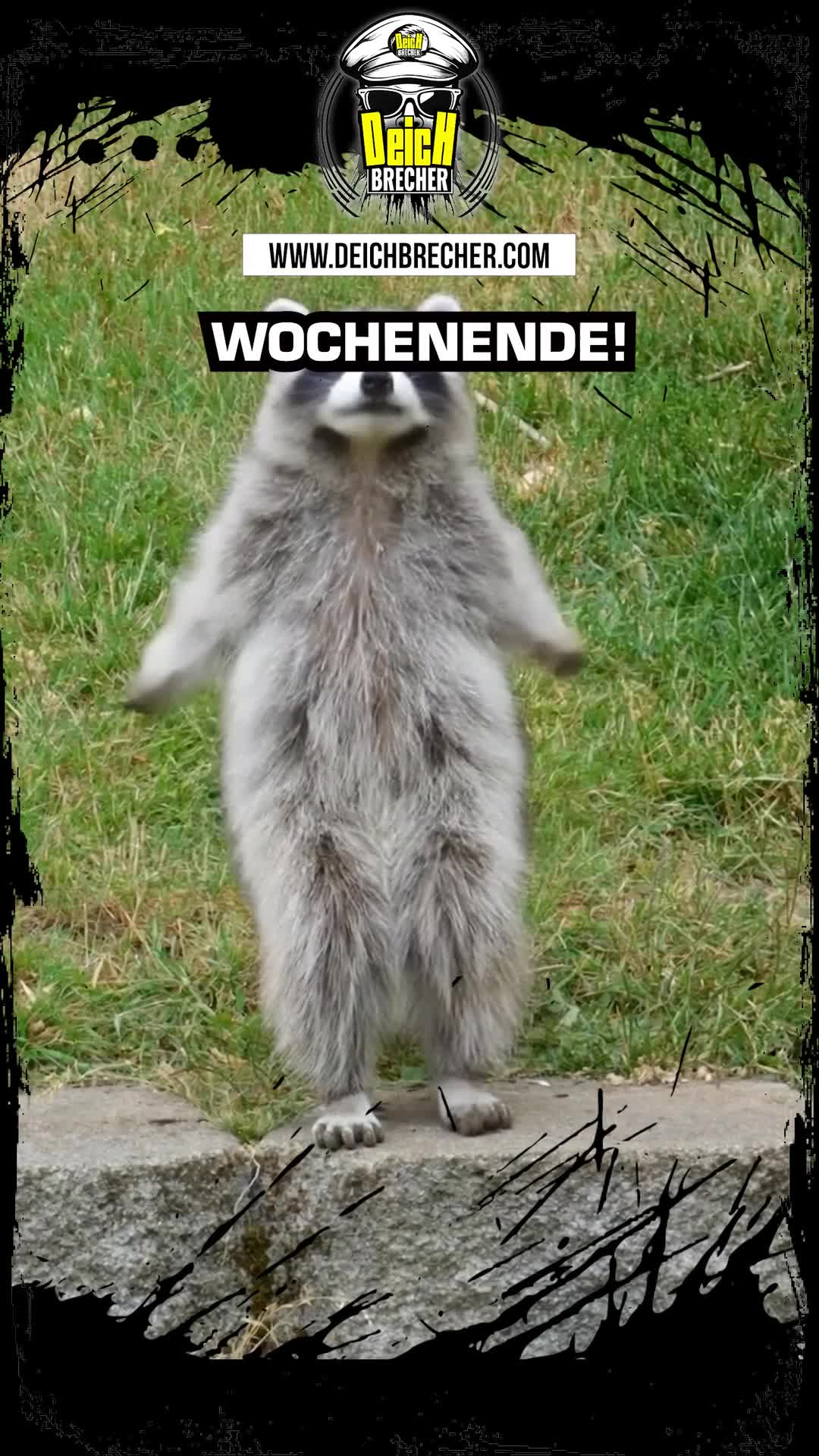 @💣DEICHBRECHER 💣