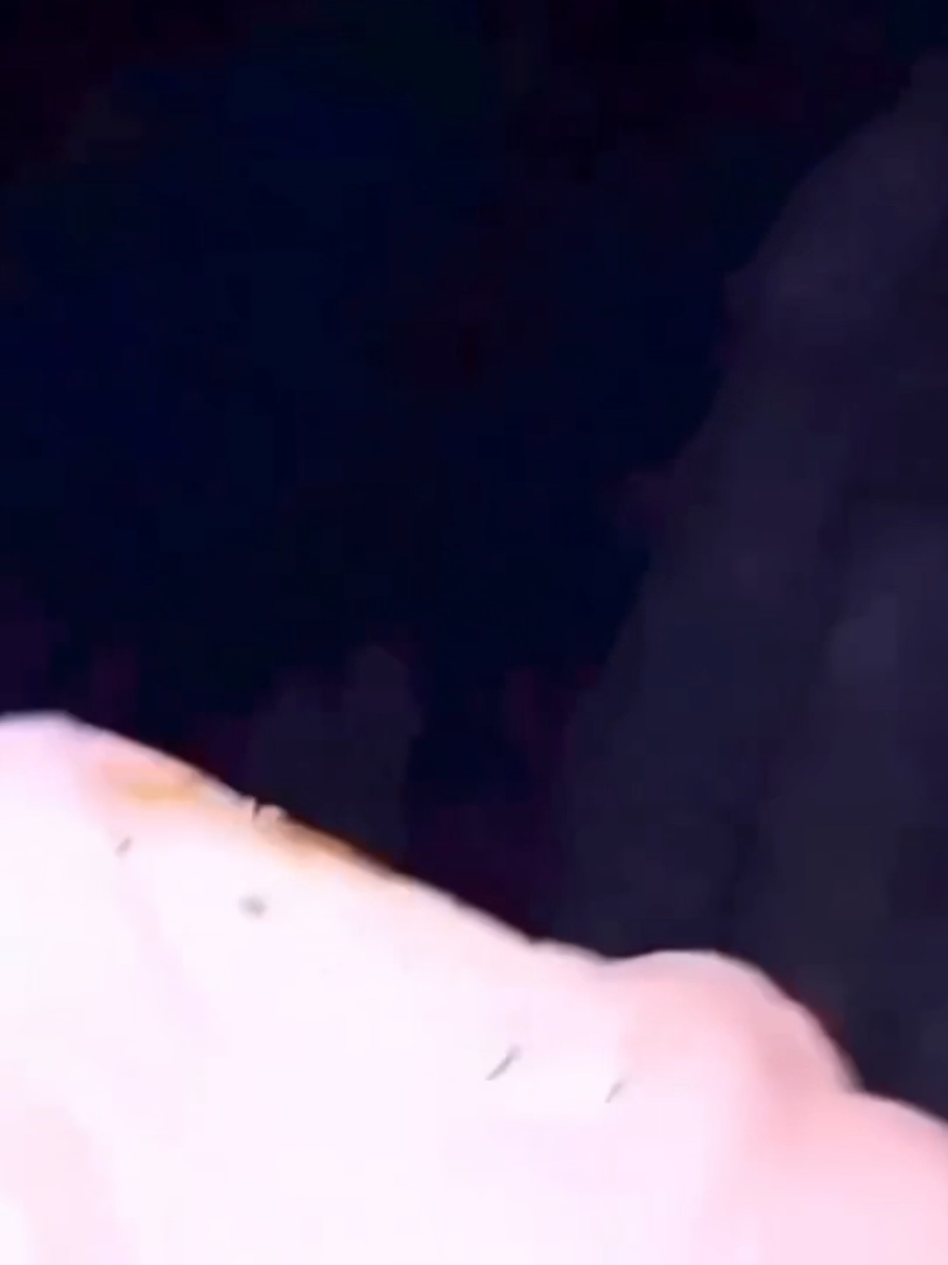 @UnHolyBackShots