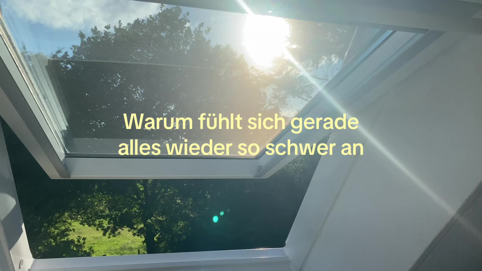 @milla🦦