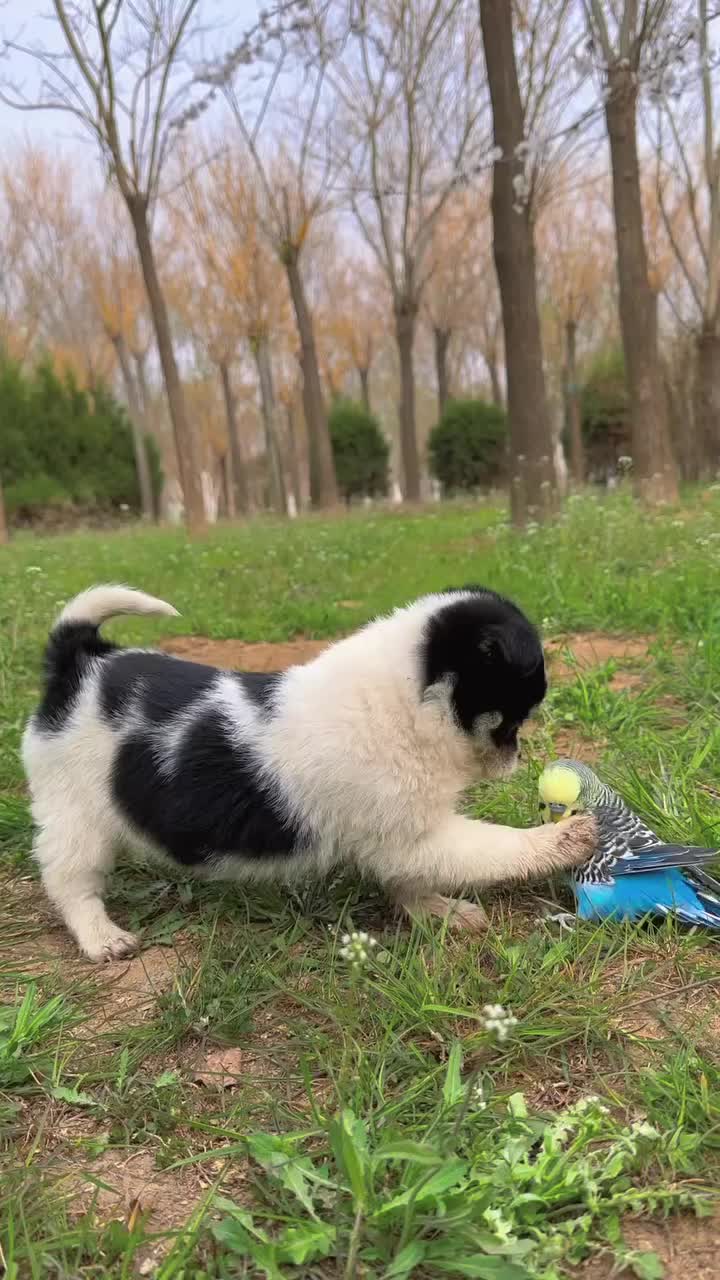 @El diario de Lia🐶🐾