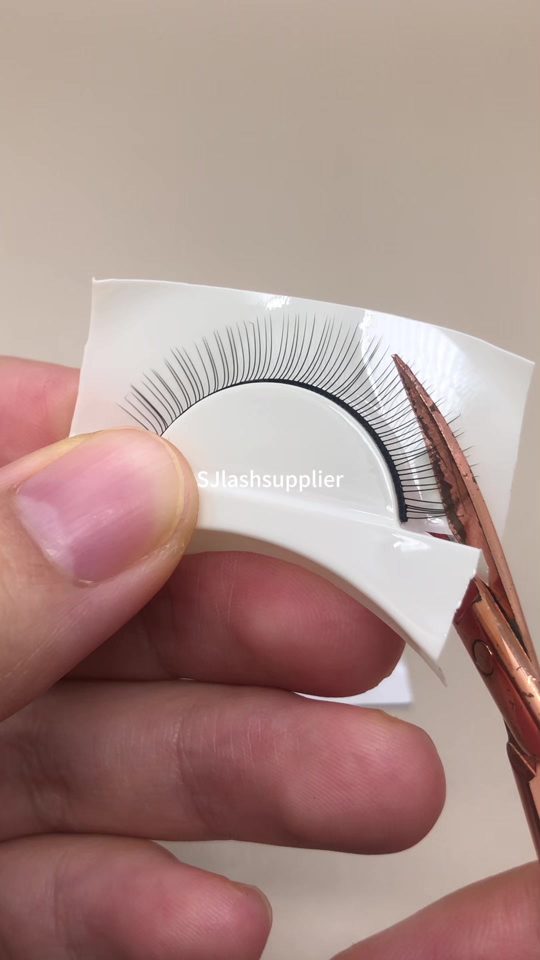 @sjlashsupplier.zoe