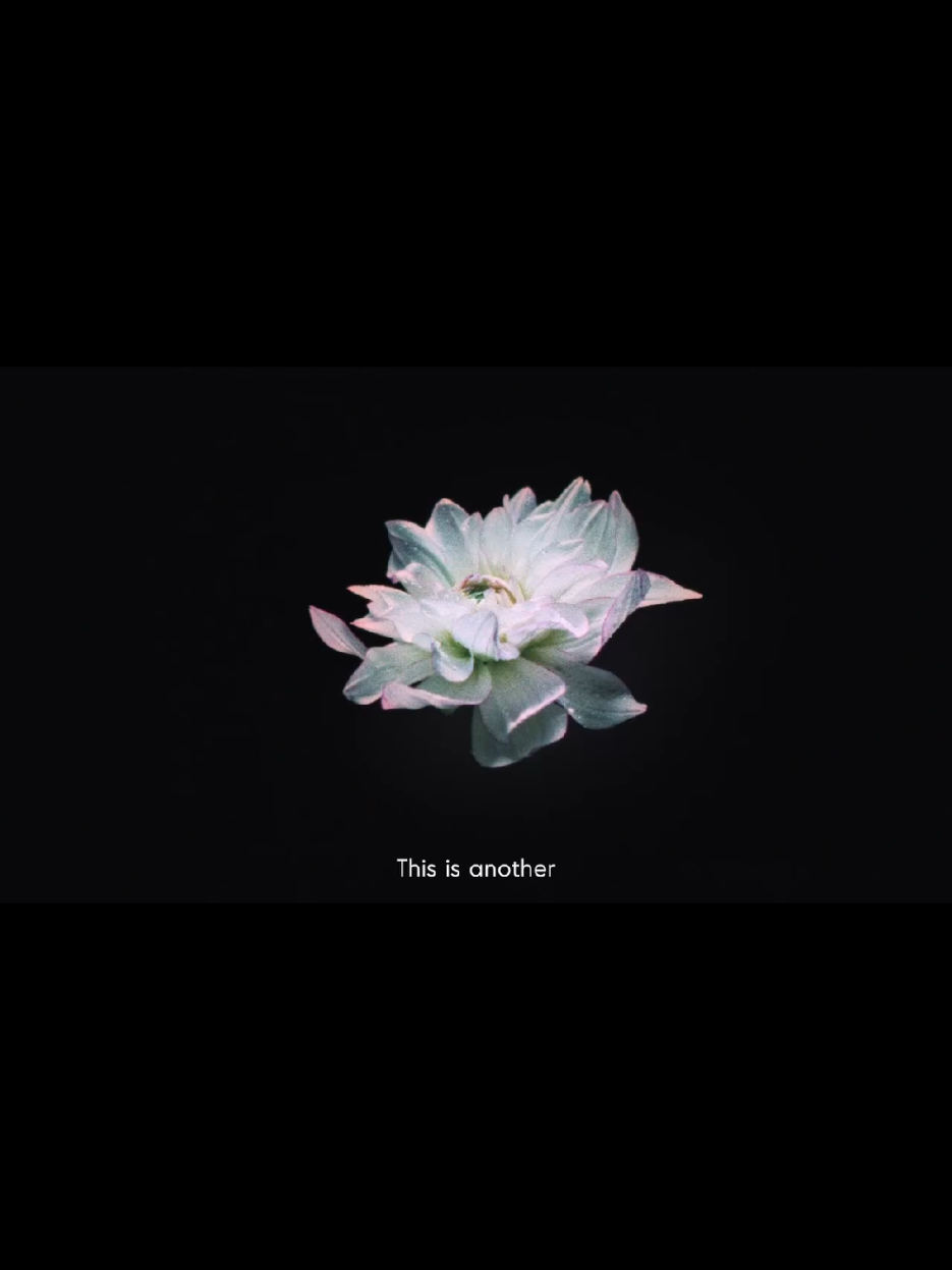 @lillly98