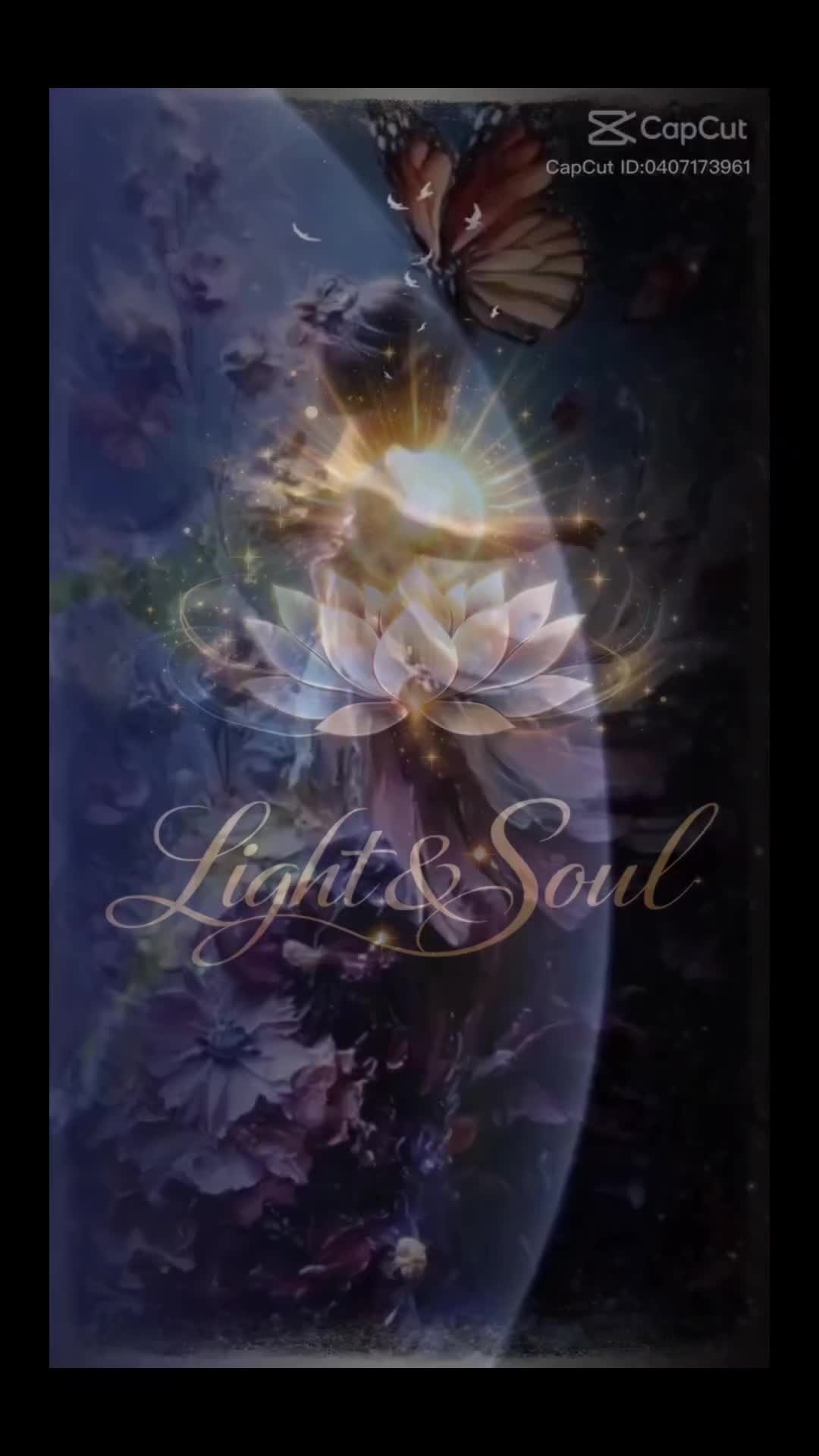 @✨🤍✨𝕃𝕚𝕘𝕙𝕥 & 𝕊𝕠𝕦𝕝 ✨🤍✨