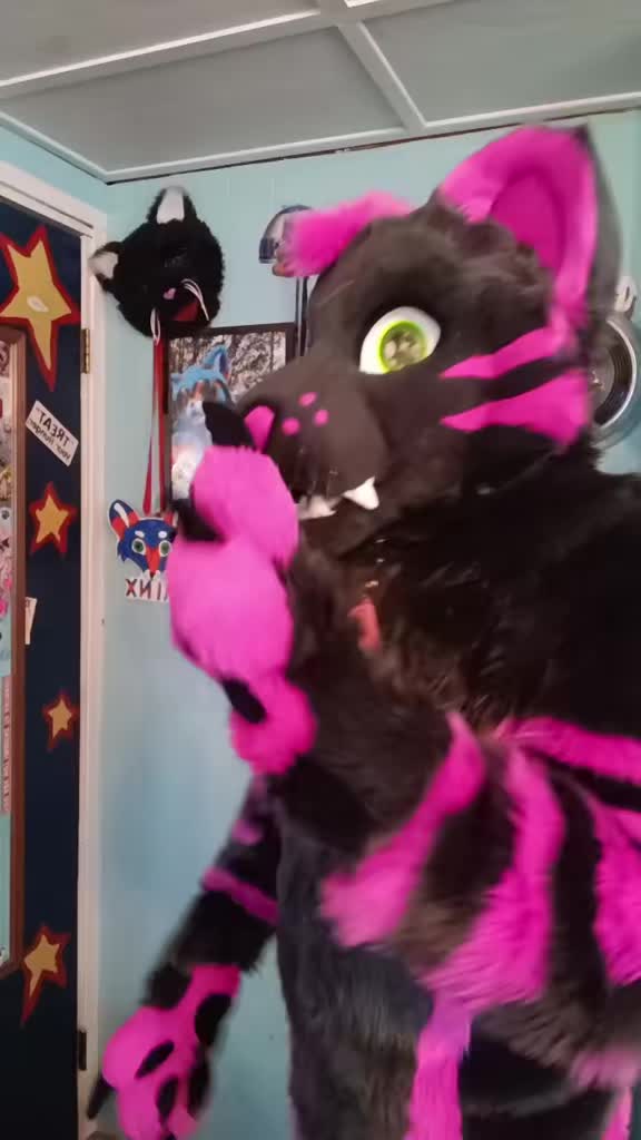 @dingbat 🐾 mew,mew 🐾