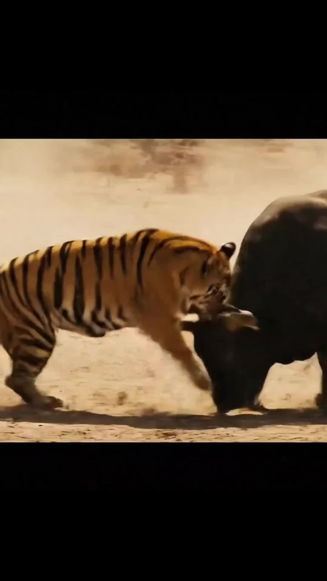 @baklolnepali