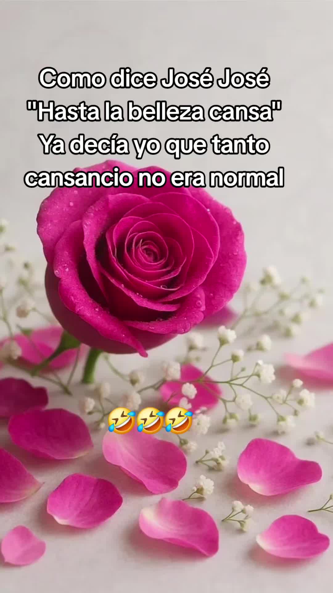 @ingridm