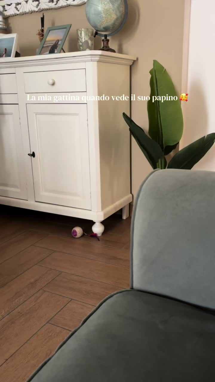 @Pia Tufano