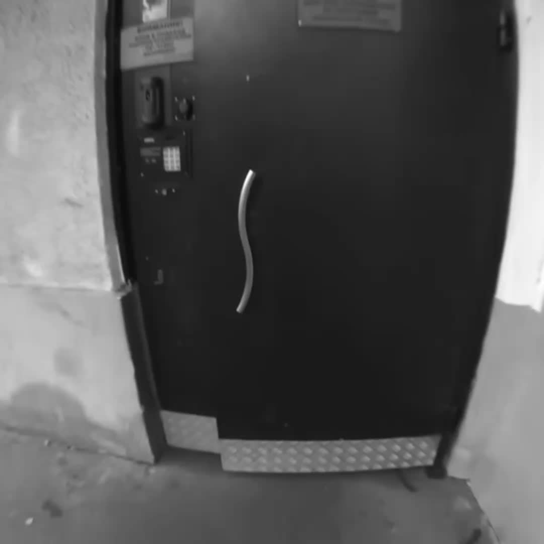@мс полинк