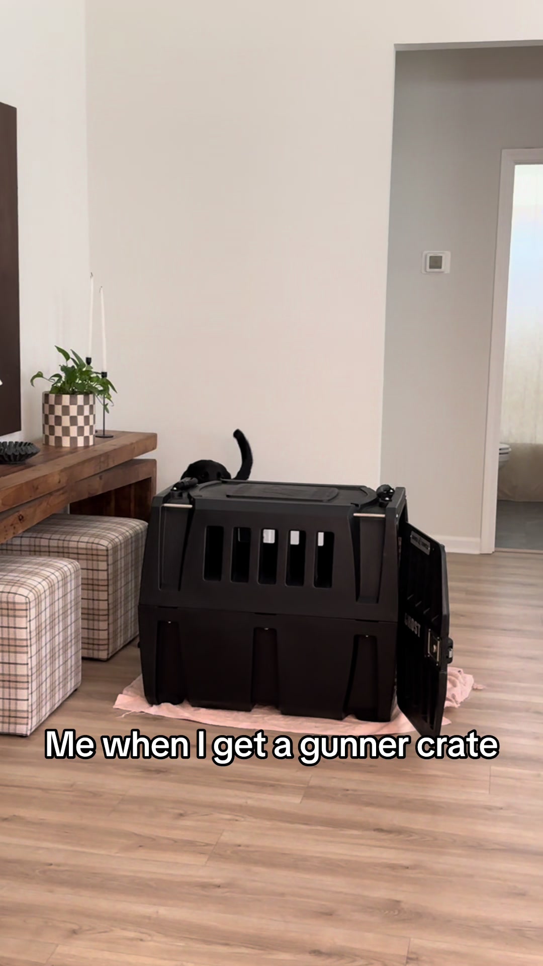 @ghostblacklab