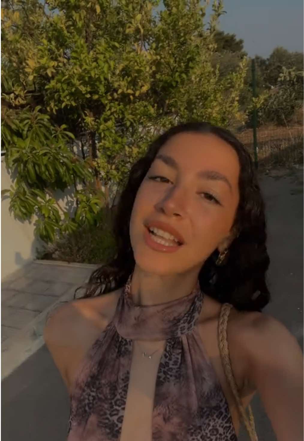 @laviniabrisi_