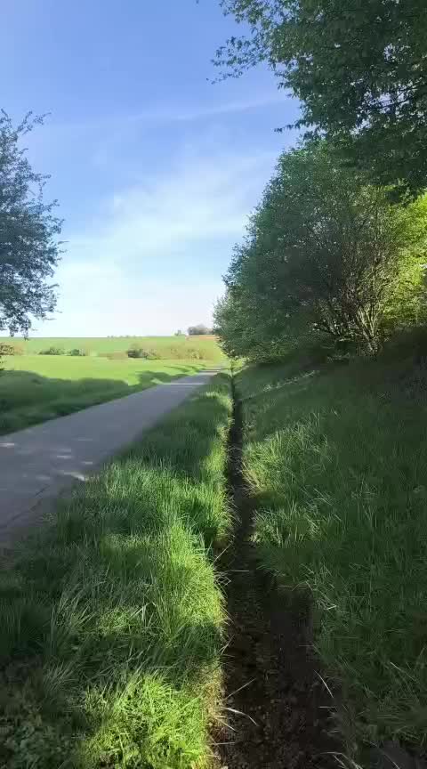 @e scooter videos