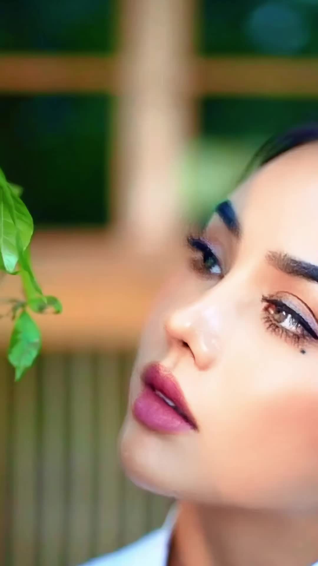 @DISCOVERY.6699