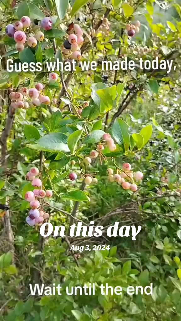 @🍄 Crafty Appalachian Pagan 🍄