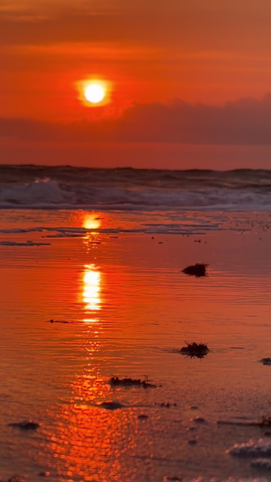 @sunsetlover26