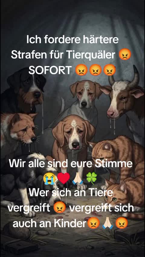 @Sini1977