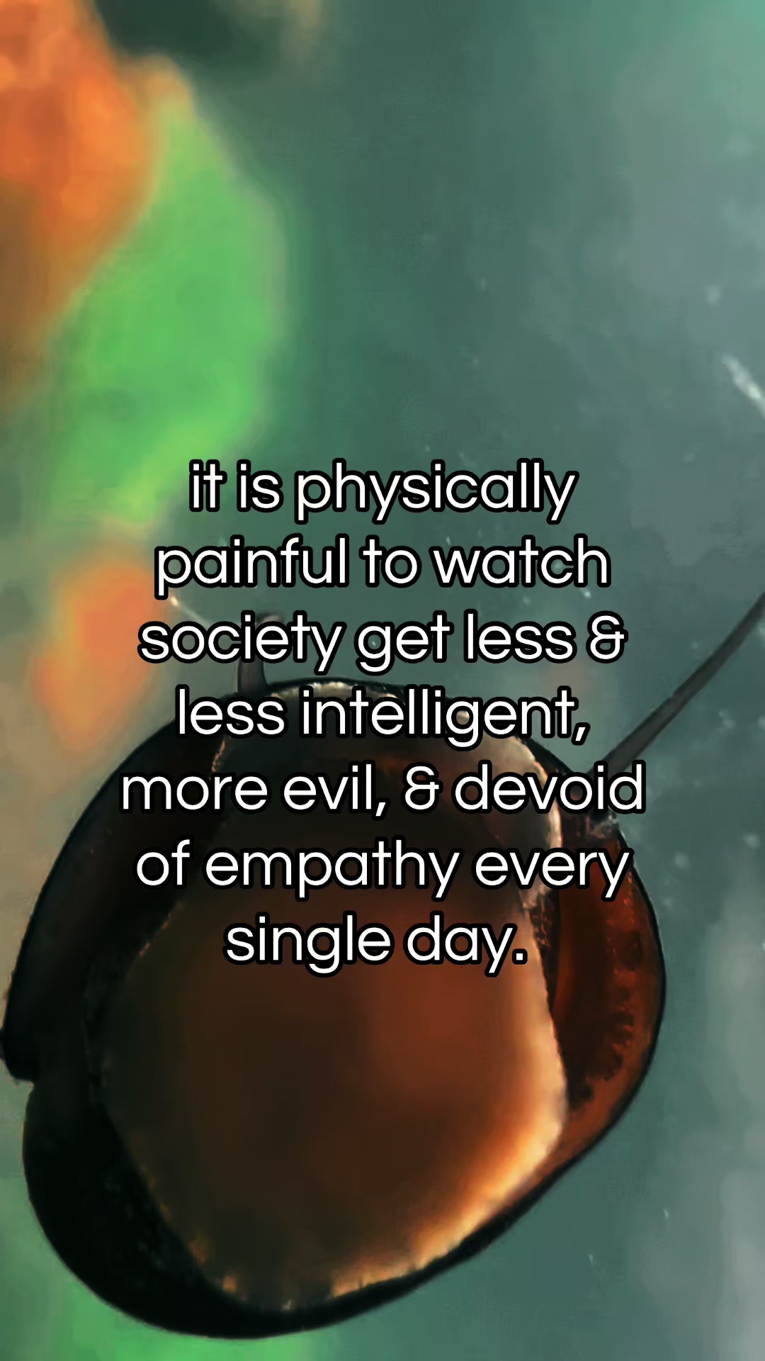 @𝔢𝔞𝔯𝔱𝔥 𝔞𝔫𝔤𝔢𝔩