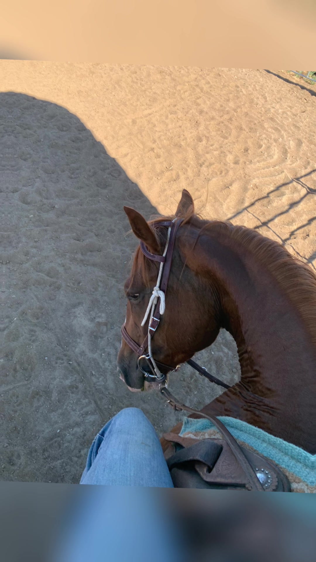 @Cowboytok