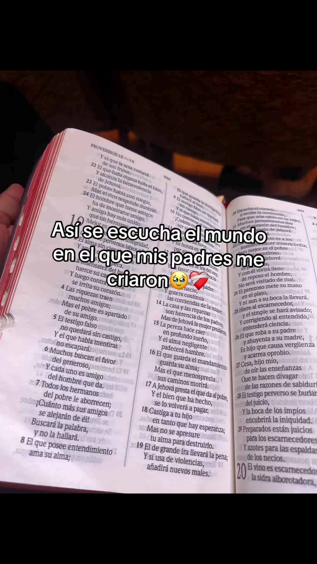@Textos bíblicos