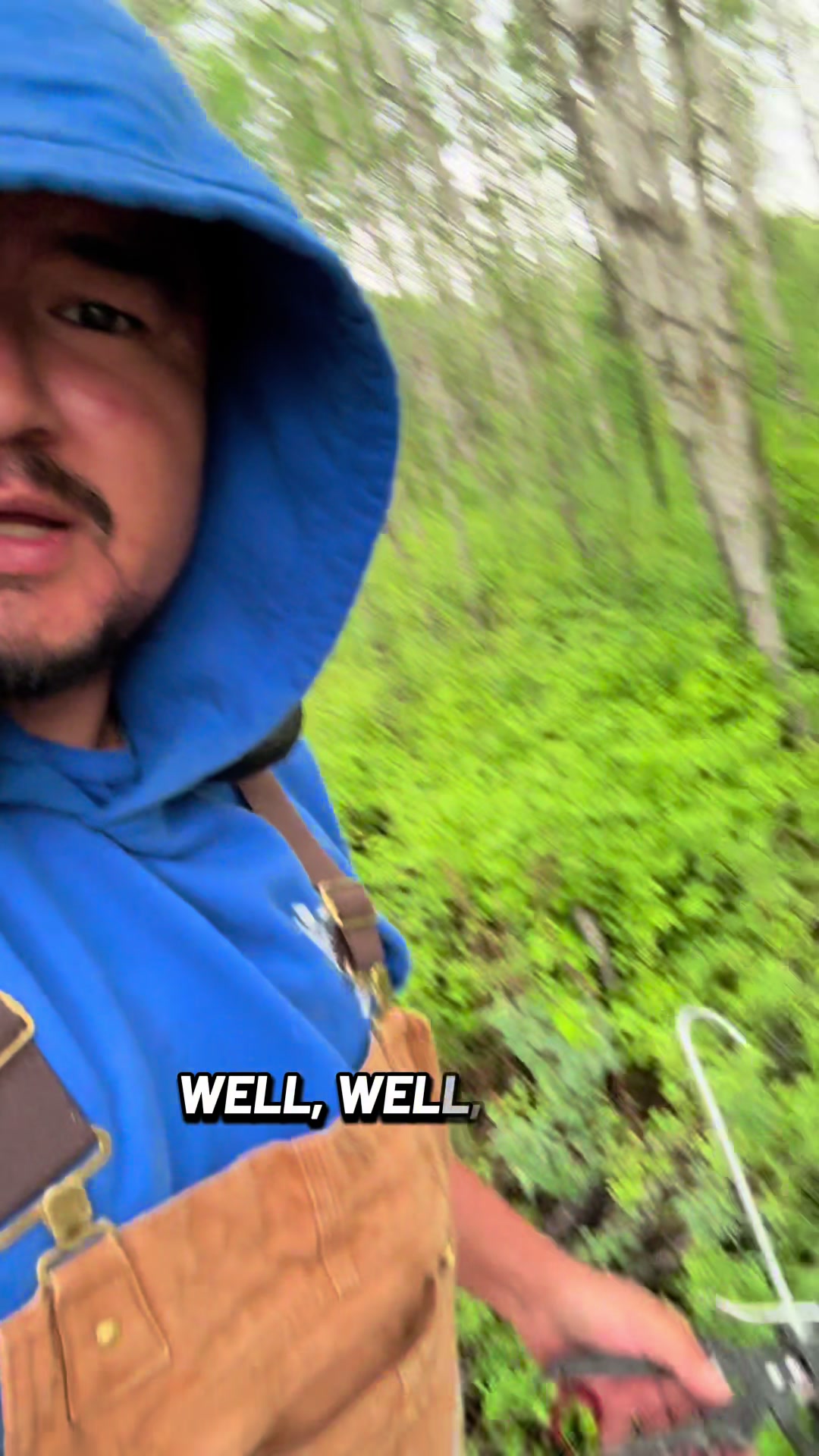 @Bucky Beaver