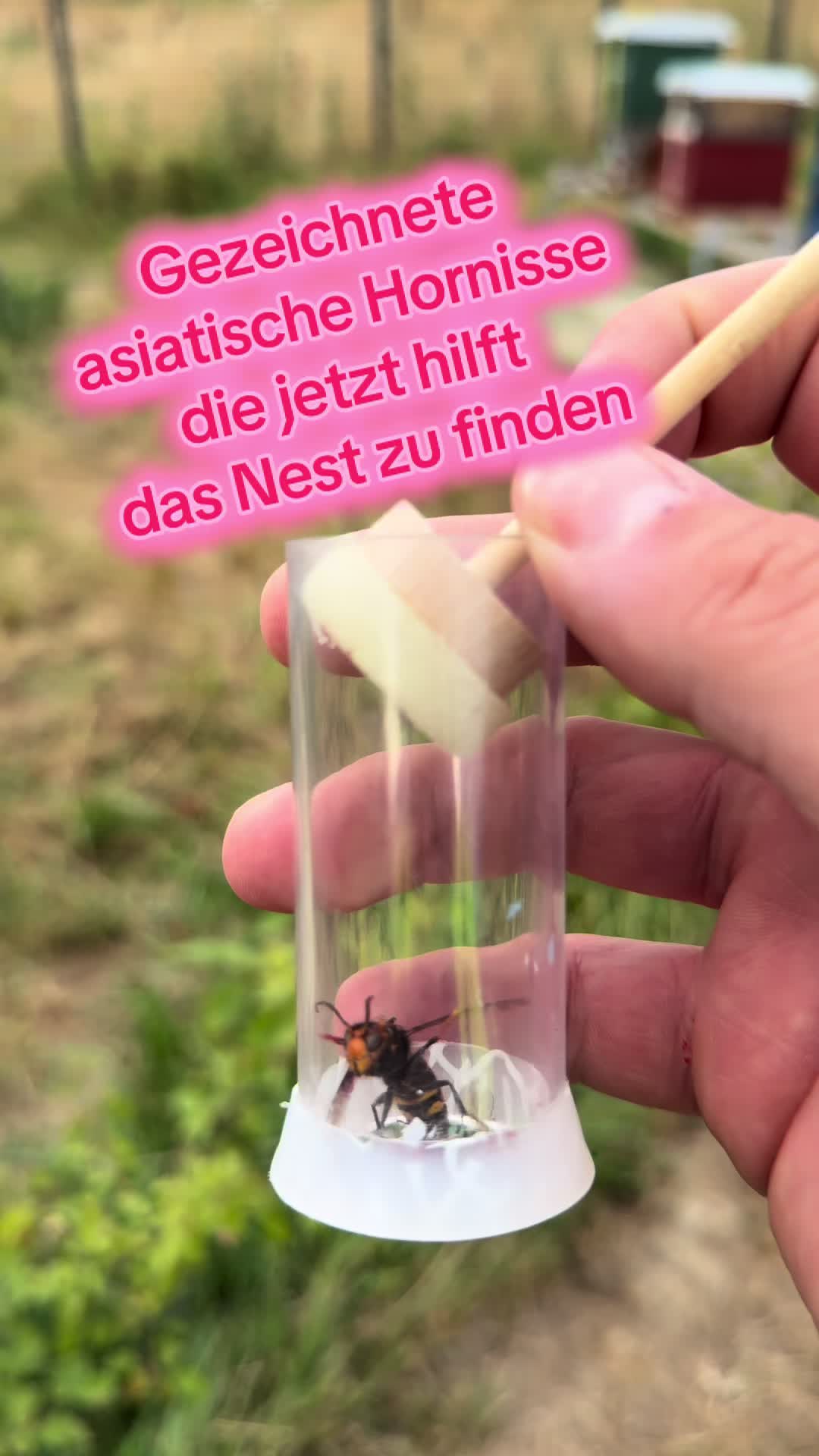 @🅼🅾🆁🅴❹BEES