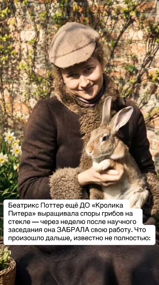 @Елена Алфёрова