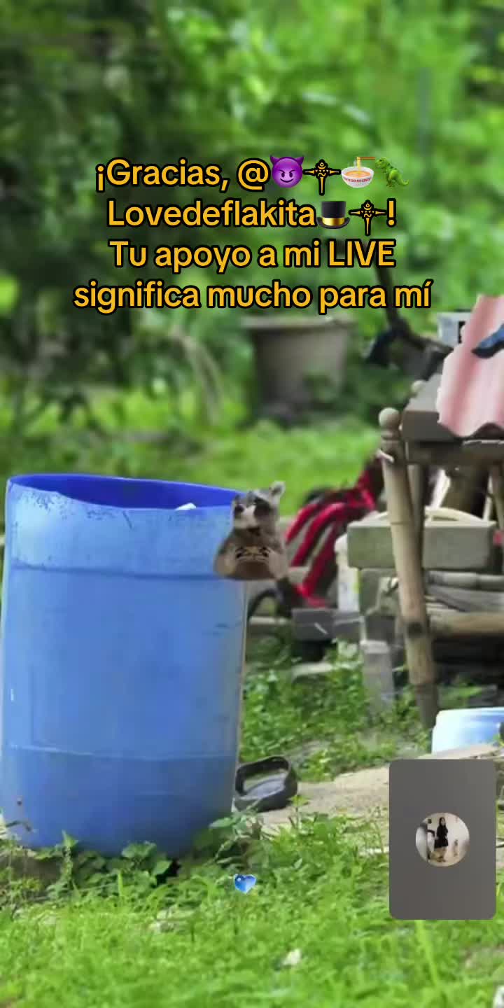 @🌷♎️Araceli♑️☪️♓️🗽♾️🐓🇲🇽😋